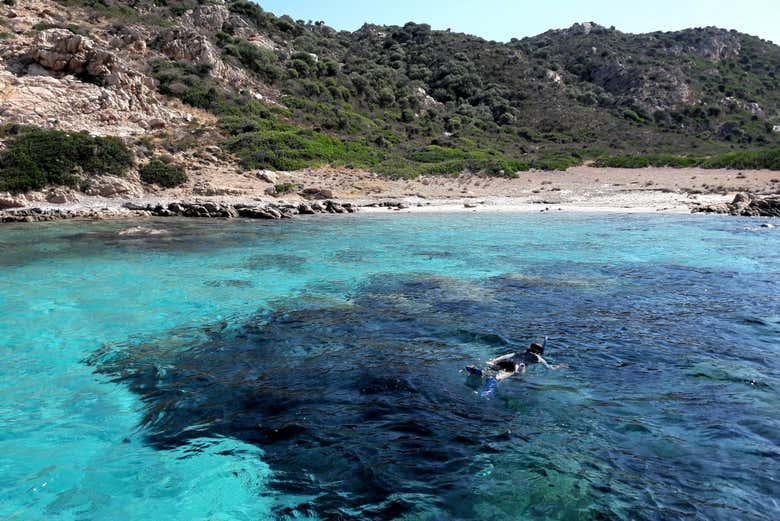 Snorkeling in the Tavolara Protected Marine Area