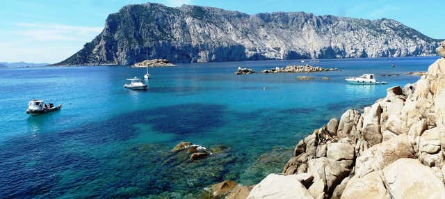 Snorkeling nell'Area Marina Protetta di Tavolara
