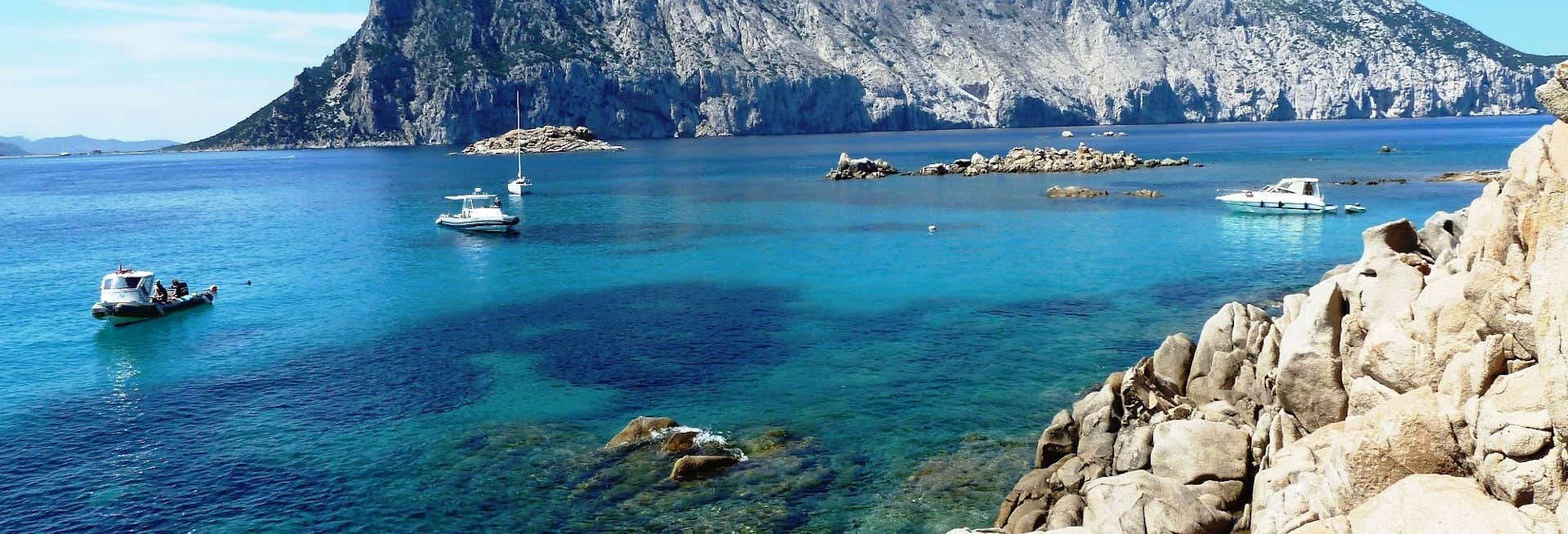 Snorkeling nell'Area Marina Protetta di Tavolara