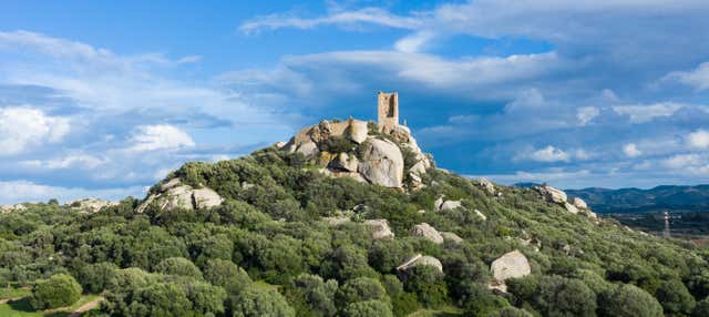 Tour archeologico di Olbia