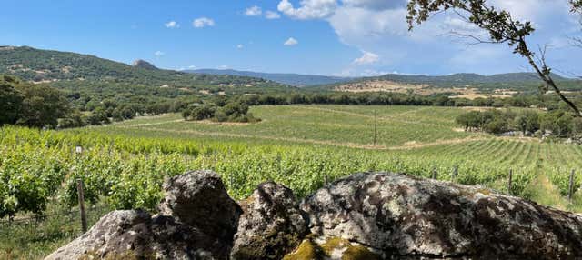 Visita alla cantina Locanda Murales con degustazione