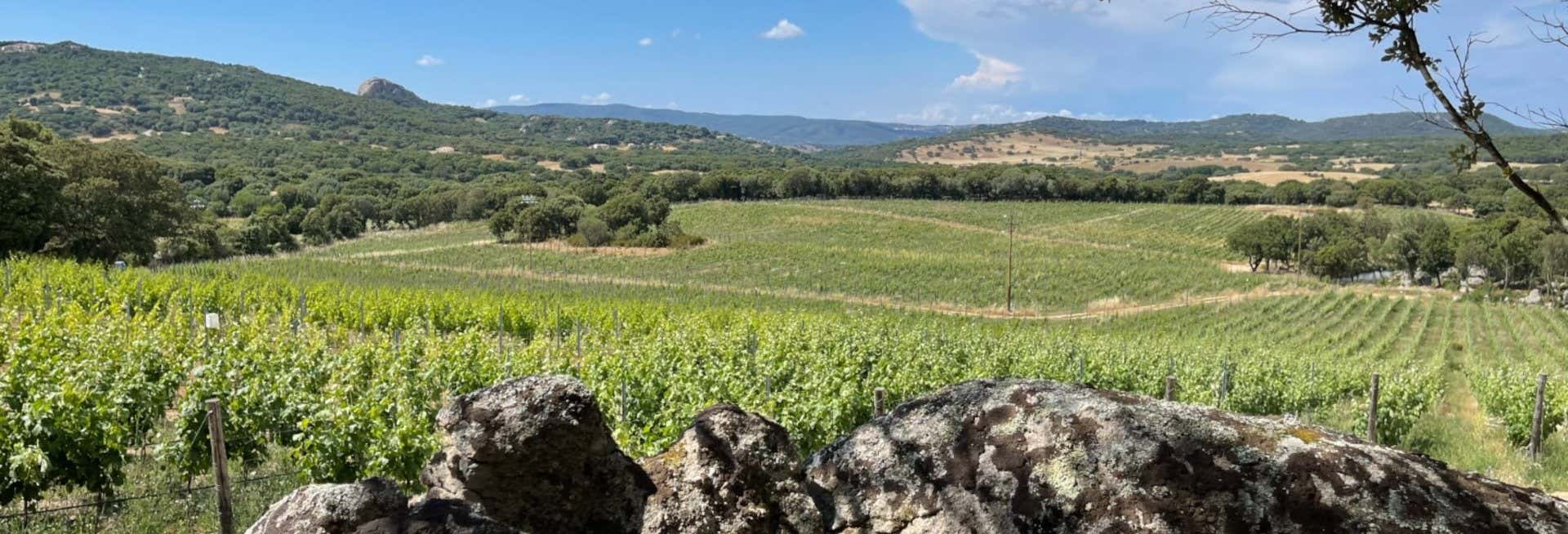 Visita alla cantina Locanda Murales con degustazione