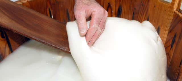 Visita guidata di un caseificio ad Ostuni