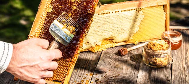 Vista a un'azienda apistica + Degustazione