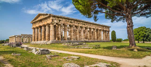 Visita guidata privata del sito archeologico di Paestum
