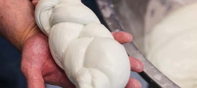 Tour di un caseificio campano