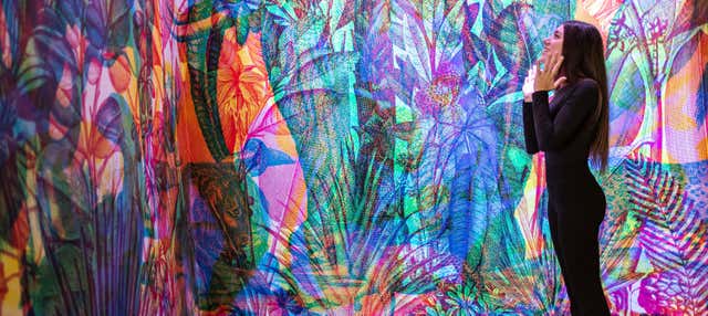 Biglietti per il Museo delle Illusioni di Palermo