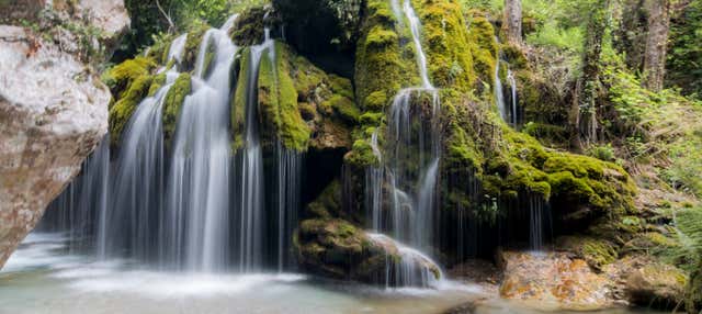 Escursione alle cascate Capelli di Venere