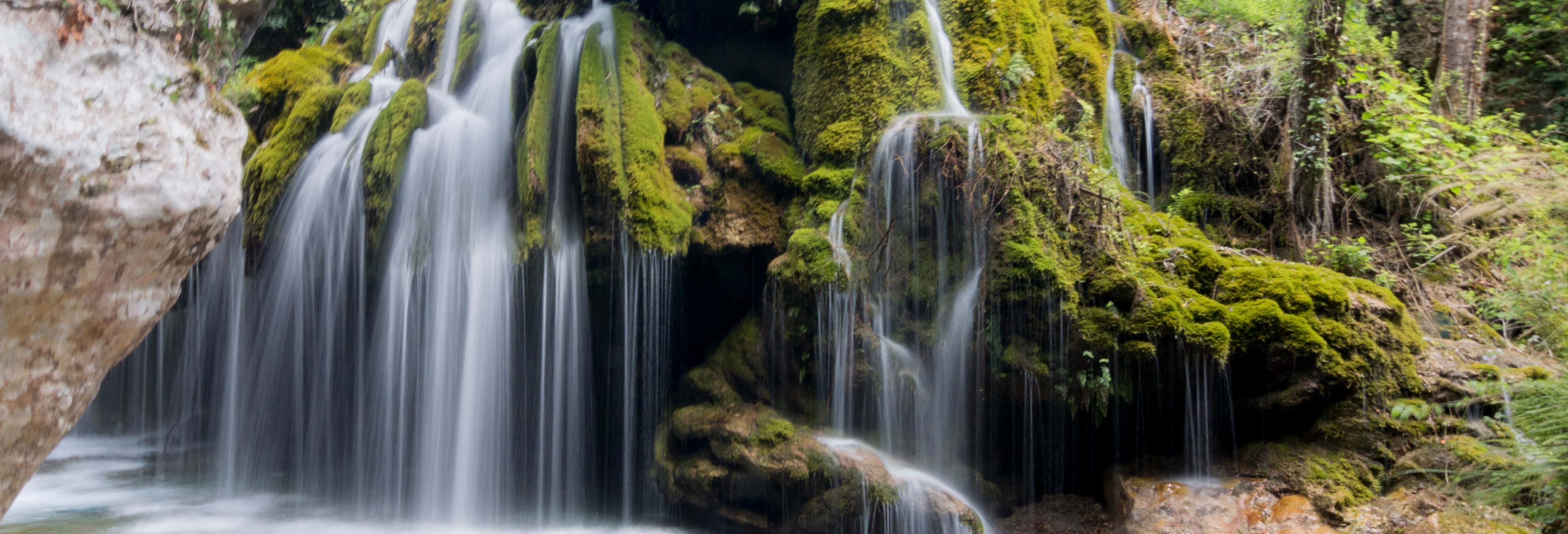 Hair of Venus Waterfalls Excursion