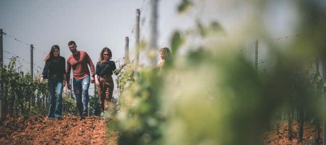 Visita a una cantina di Partinico