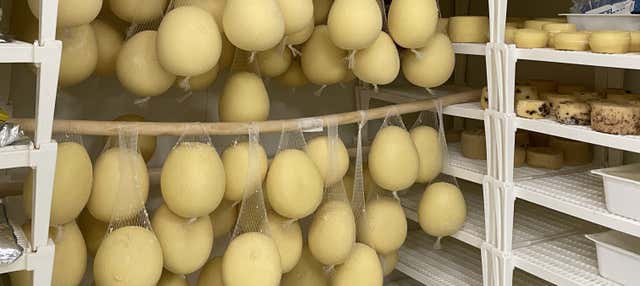 Atelier de fabrication de mozzarella à Pise