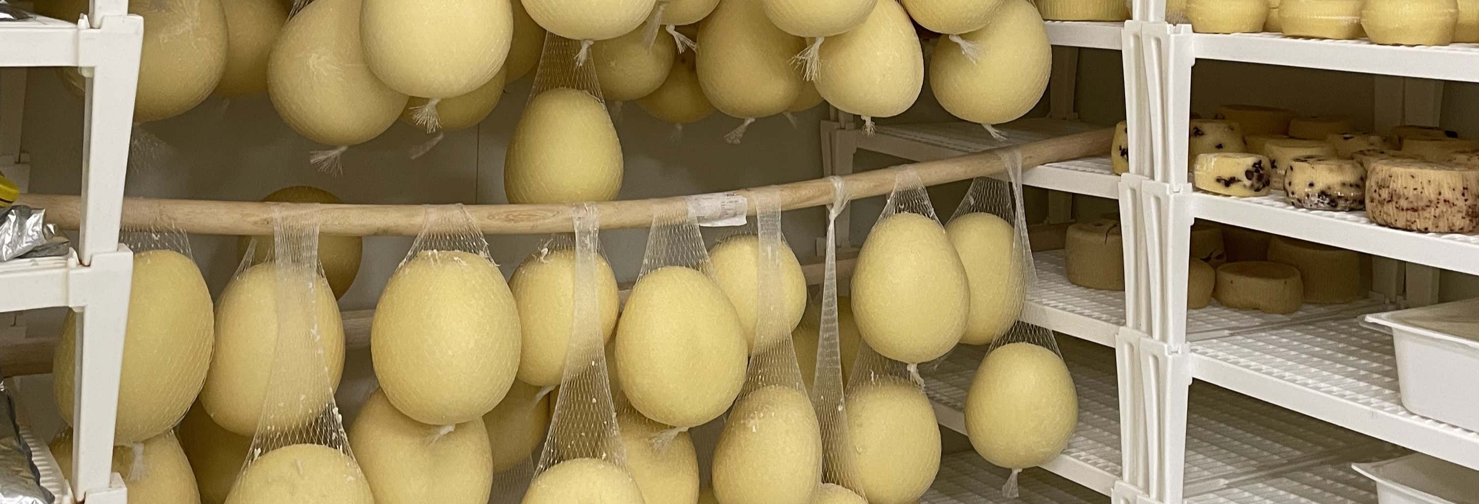 Atelier de fabrication de mozzarella à Pise