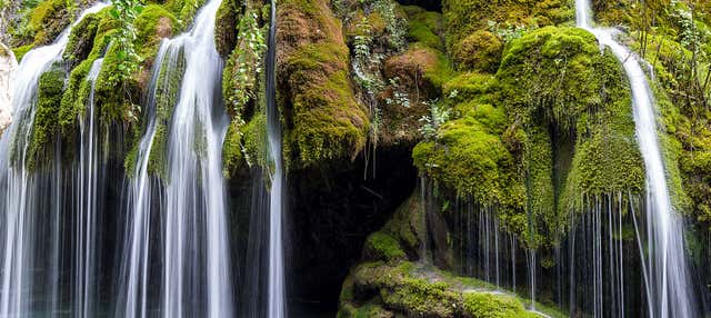 Escursione alle cascate Capelli di Venere