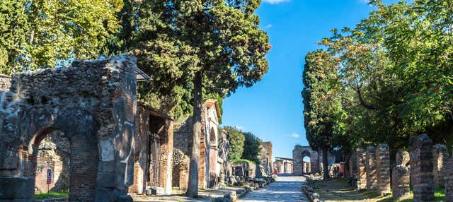 Escursione a Pompei