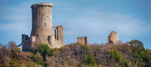 Escursione al Parco archeologico di Velia
