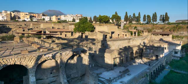 Escursione al sito archeologico di Ercolano