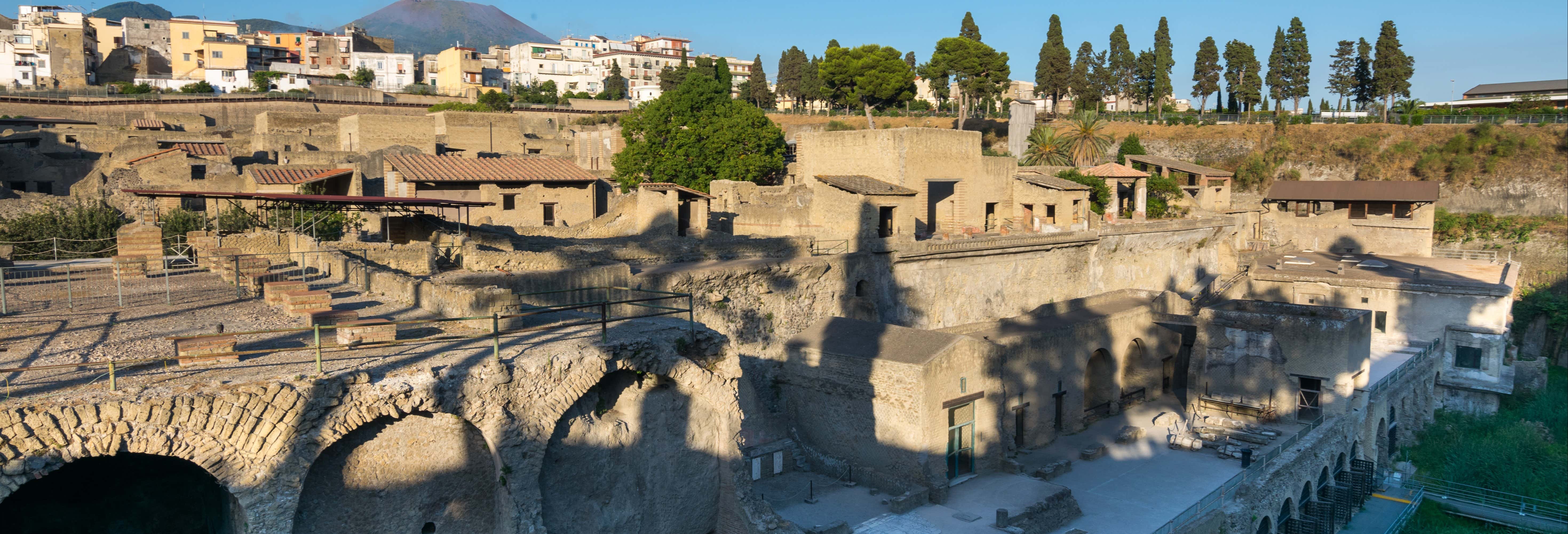 Escursione al sito archeologico di Ercolano