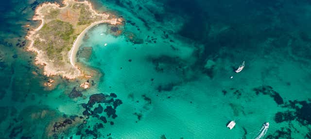 Giro in veliero nell'area marina della Tavolara