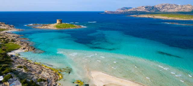 Escursione al Parco Nazionale dell’Asinara in gommone