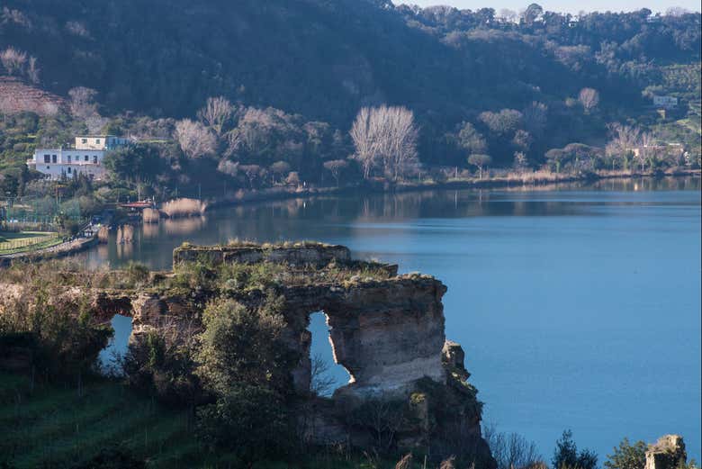 Imagen 6