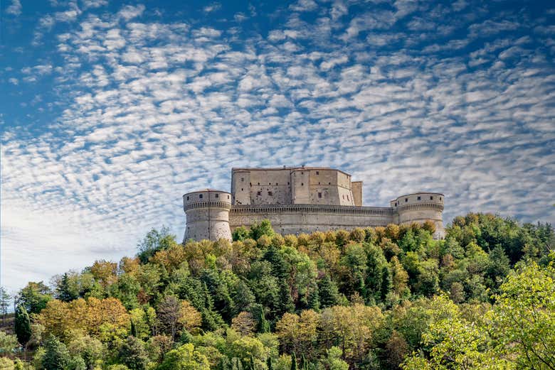 Imagen 3