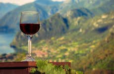 Lake Garda Winery Visit + Wine & Olive Oil Tasting
