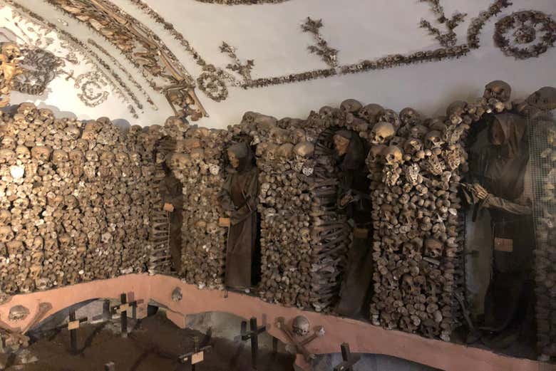 Imagen 6