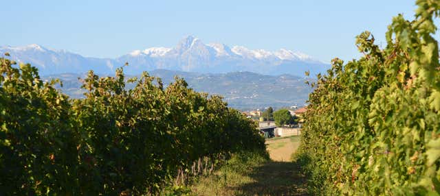 Visita alla Cantina Mazzarosa