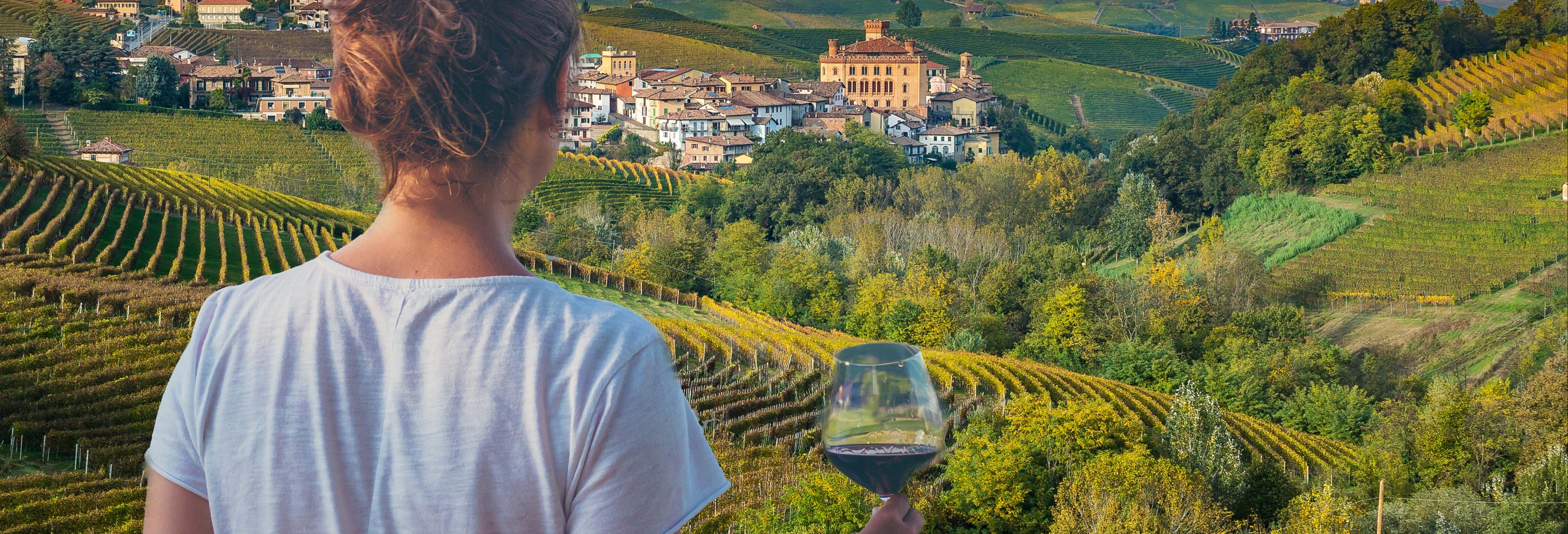 Tour del vino del Chianti