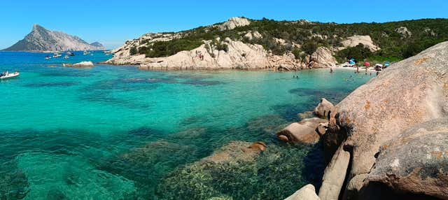 Giro in gommone a Tavolara e Punta Coda Cavallo