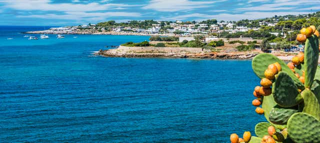 Giro in barca lungo la costa di Santa Maria di Leuca