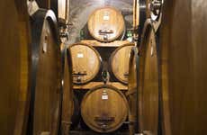 Cata de vinos en Siena