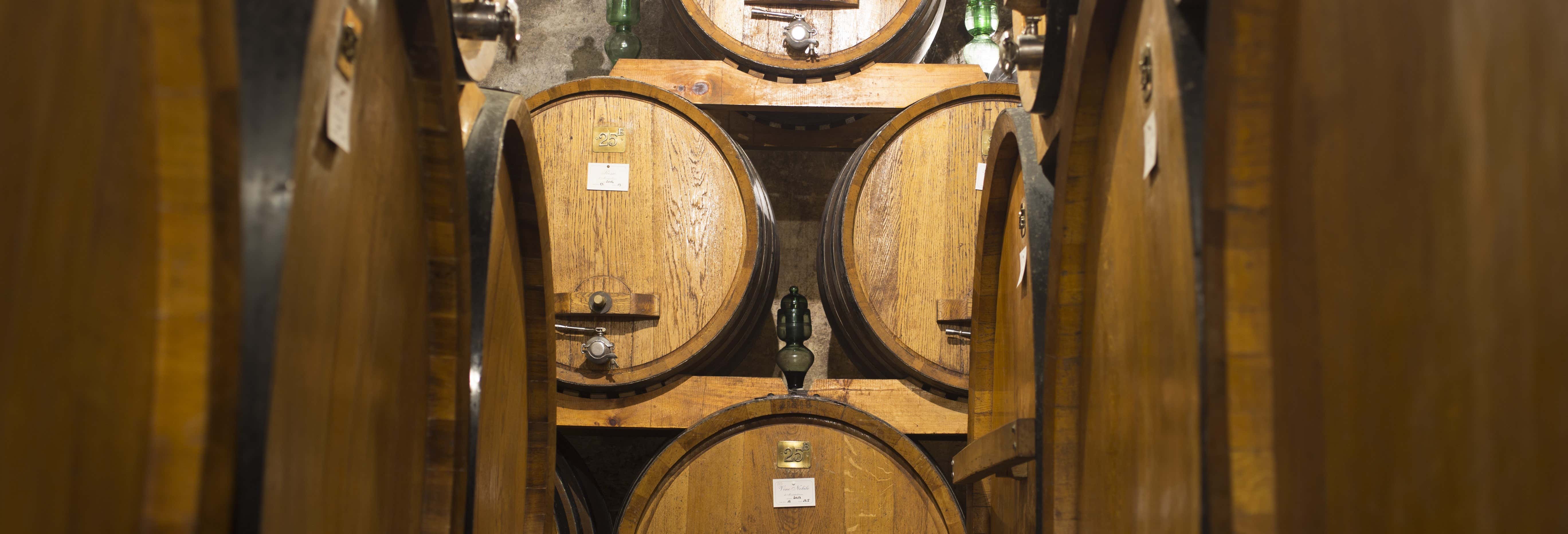 Cata de vinos en Siena