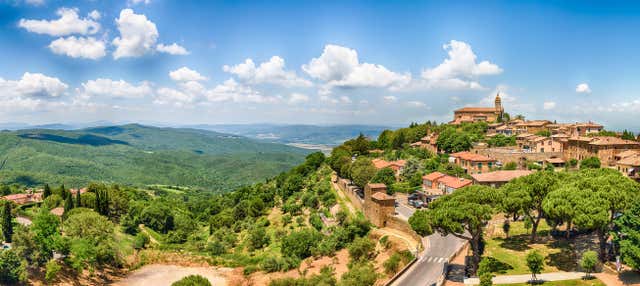 Escursione a San Gimignano e Montalcino