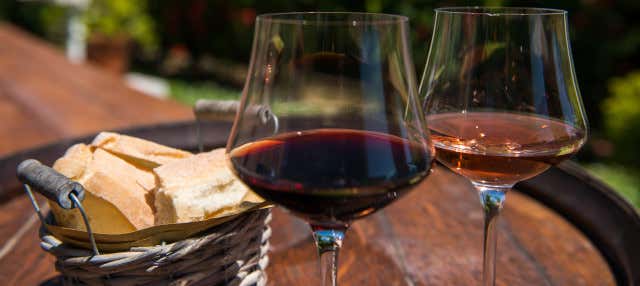 Tour del vino nella Valle del Chianti