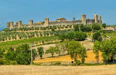Chianti Wine Tour