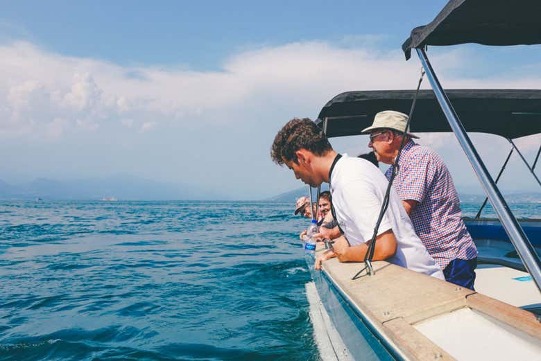 Imagen 6