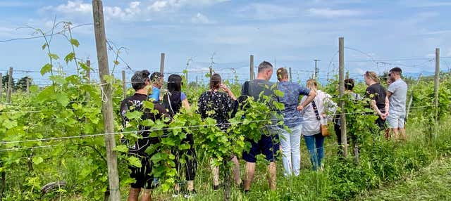 Visita alla cantina Corte Anna