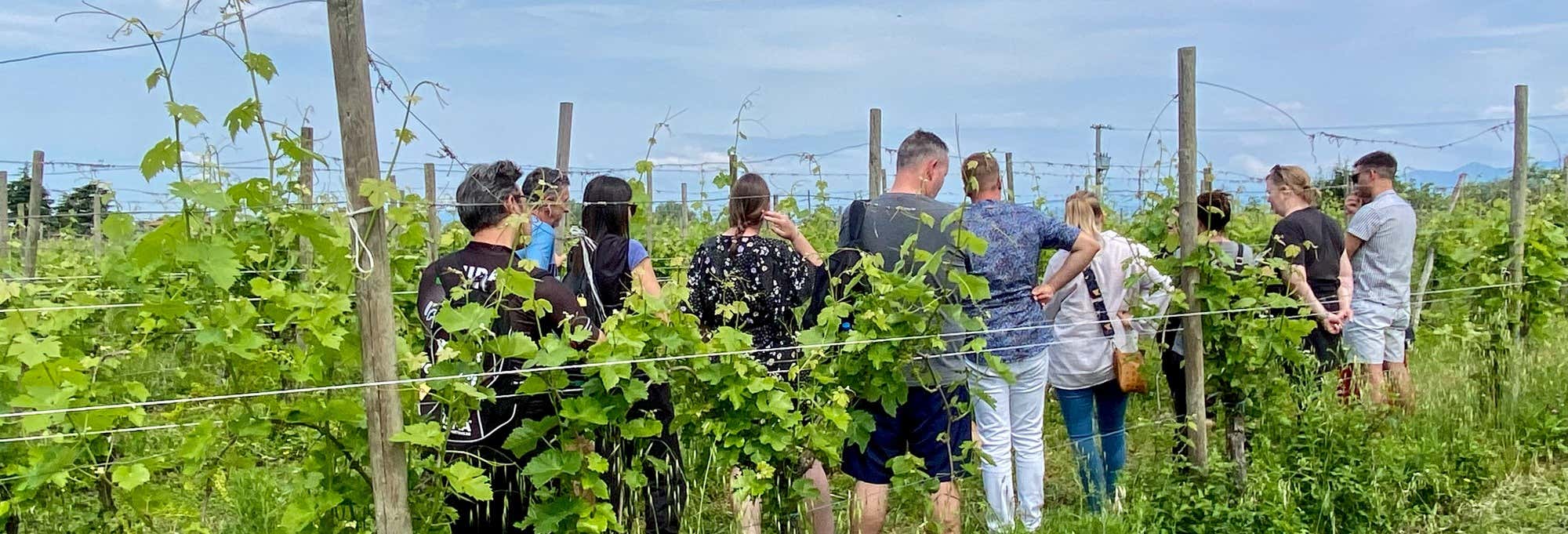 Visita alla cantina Corte Anna