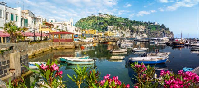 Escursione a Ischia e Procida in barca