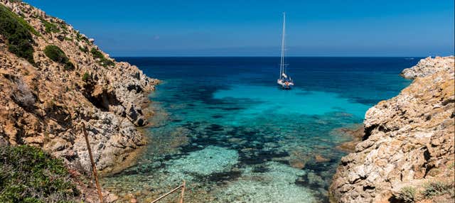Escursione del Parco Nazionale dell'Asinara in catamarano