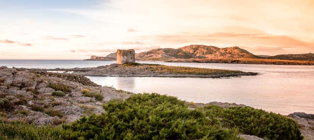 Giro in catamarano nel golfo dell'Asinara al tramonto