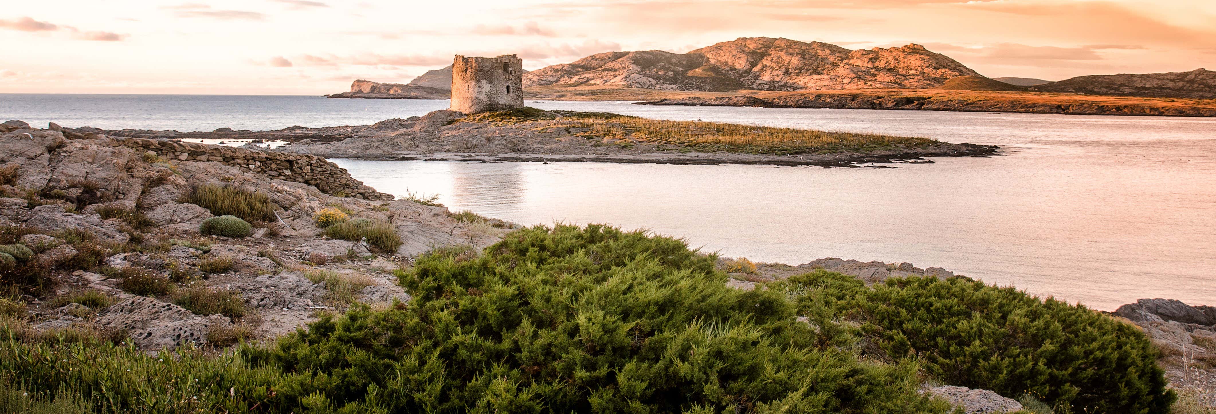 Gulf of Asinara Sunset Catamaran Trip