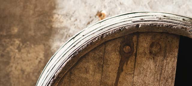 Visita di una cantina dell'Etna