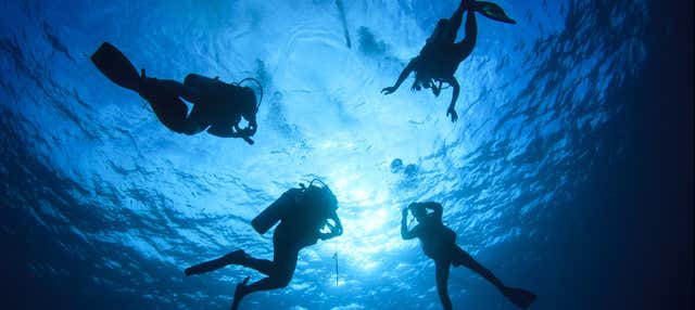 Immersione per principianti a Taranto