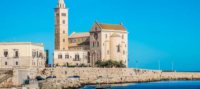Tour privato di Trani