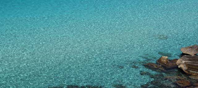 Escursione a Favignana e Levanzo in barca a vela