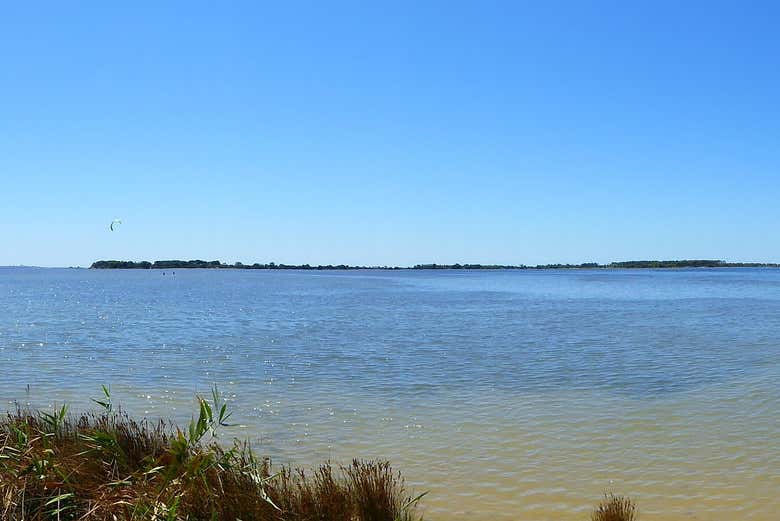 Marsala Boat Tour + Wine Tasting