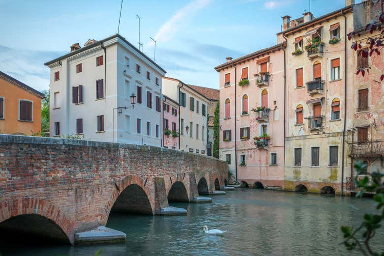Treviso Private Tour