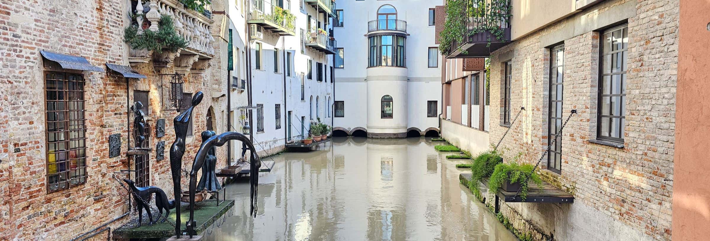 Visita guiada por Treviso